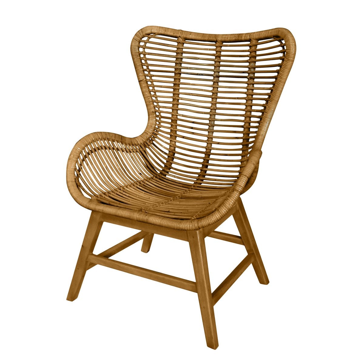 Tom Tailor fauteuil van rotan – gerecycled teakhout, handgemaakt — achteraanzicht — MEUBELIER